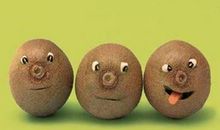 杯具事件搞笑句子