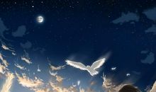 形容一个女人对男人失望的句子