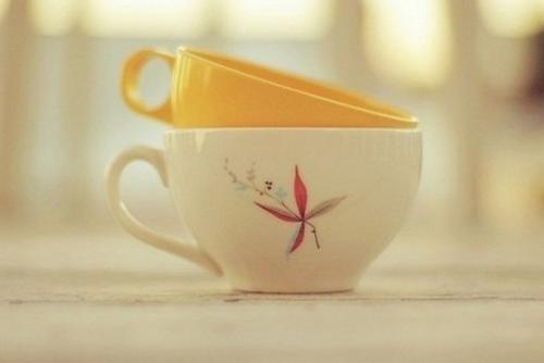 描述了对家庭的情感