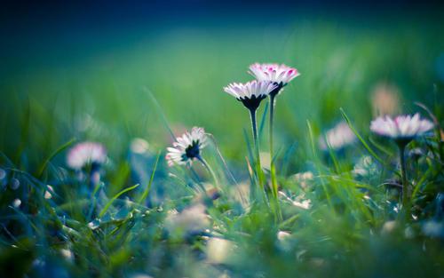 让我们看一下编辑编写的关于写给家人的简短句子