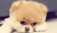 形容家人冷漠对家人失望的句子