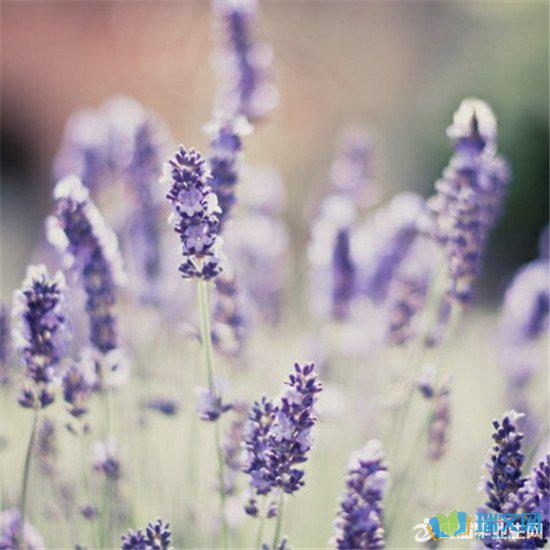 积极的态度是成功人士的最基本要素