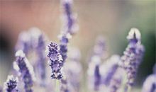 描写青春活力的句子