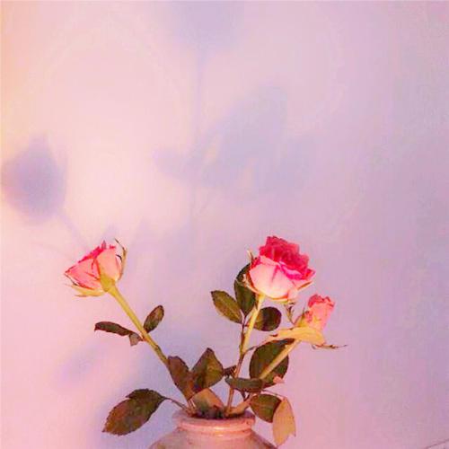 如何写简单的幸福