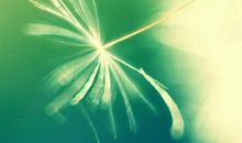 写心情的句子经典