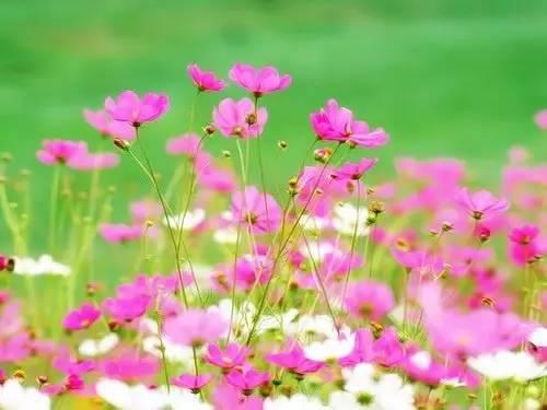 您只知道我的名字