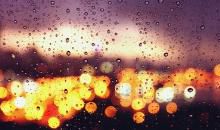 一个人对公司彻底失望的句子