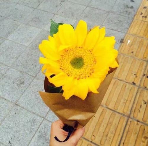 小编整理了一些关于幸福的句子