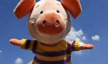 开心可爱的句子说说心情