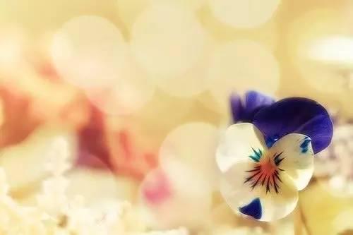 影响你一生的经典人生感悟 11