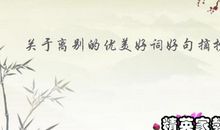 优美的句子经典优美语句摘抄