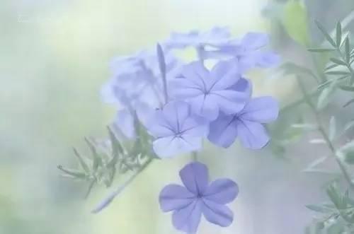 影响你一生的经典人生感悟 13