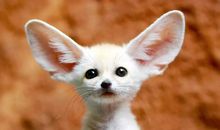 亲情关系好的句子