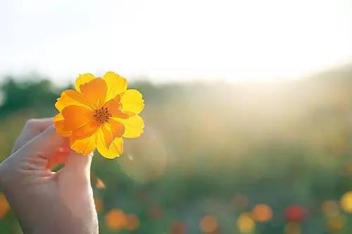 影响你一生的经典人生感悟 15