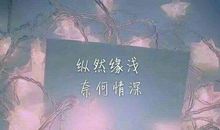 对人世失望的句子