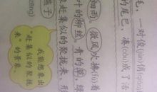描写燕子形态的句子