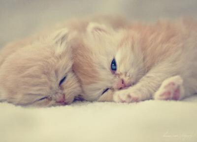 和你一起度过最黑暗的夜晚的人是应该与他度过最美好的日子的人