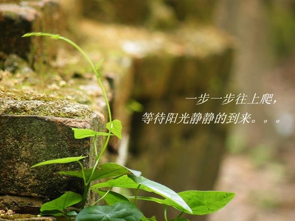 第十个时期的经典句子 1