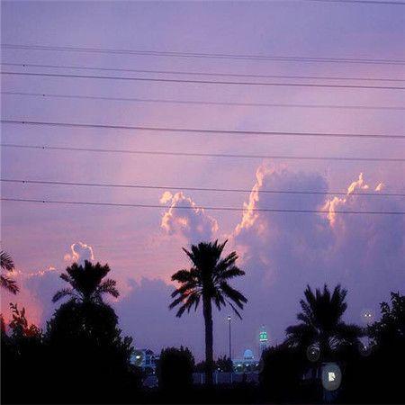 甜蜜的爱情使人快乐