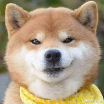 秘密开心的句子是什么