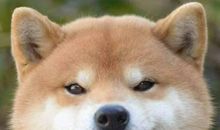 形容暗自开心的句子