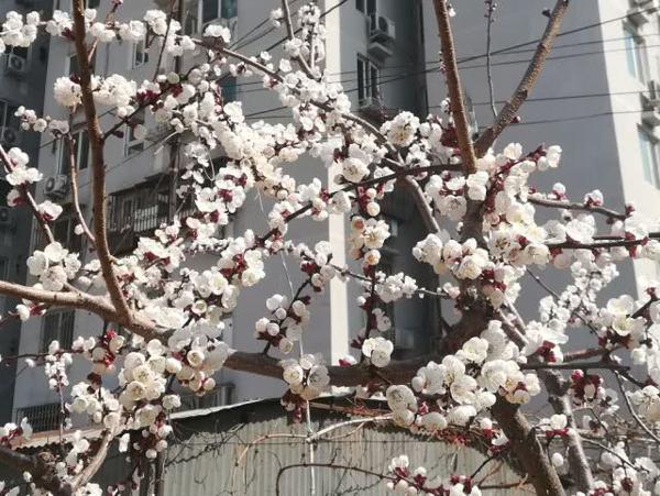 小编整理了一些有关爱和感情的句子