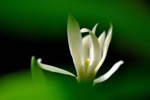 您家中的弱句是什么