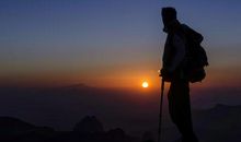 对公司品质失望的句子