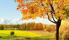 形容秋天的语句