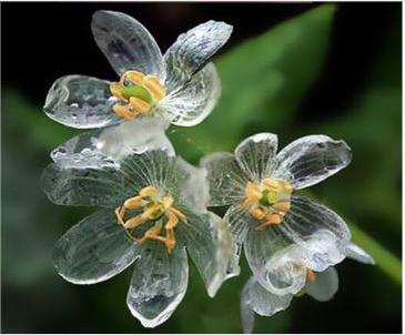 编辑编辑了一些关于家庭之爱的句子