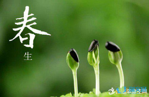 春天是一个富有生命力的季节