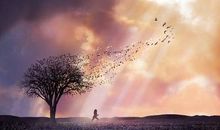 关于母亲的爱的亲情句子