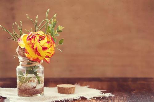 我不想痛苦的回忆再次出现