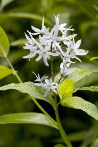 我希望每个人都喜欢它