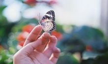 正能量英文句子