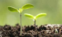 关于成长的座右铭