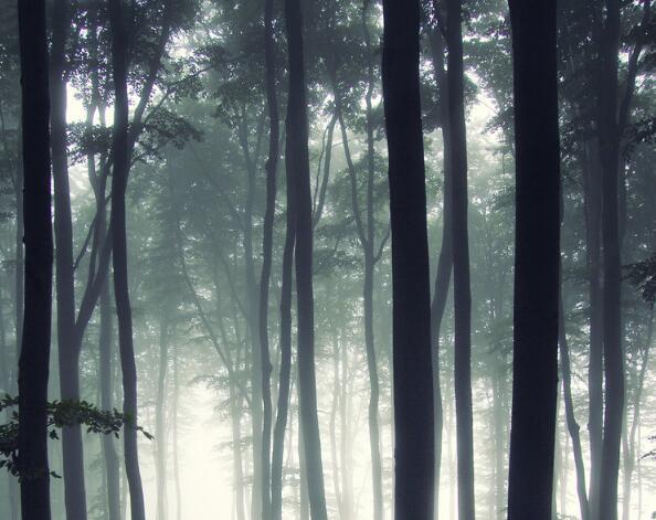 爱只有在分裂时才是宝贵的