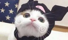 阳光开心搞笑的句子