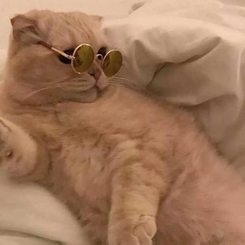 请欣赏编辑编辑的有趣和有趣的句子