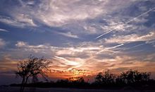 能让人吐露心烦的句子