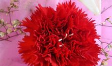 有关人生的感悟句子37则