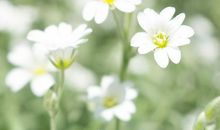 五一玩好开心的句子