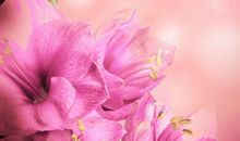 关于朋友的人生感悟句子