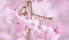 人生感悟经典句子精选