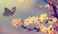 让人修生养性的人生感悟句子