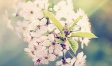 工作感悟的人生哲理句子