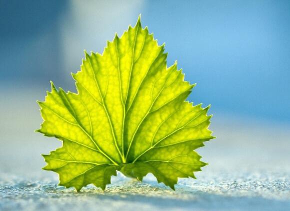 一生的大部分时间都是孤独的