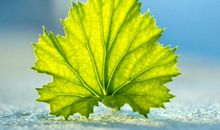 孤独一人的人生感悟句子