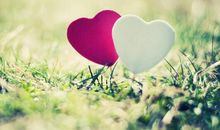 让人顿悟的人生感悟句子