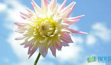 赞美小雨的句子